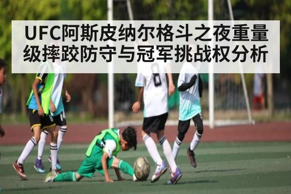 UFC阿斯皮纳尔格斗之夜重量级摔跤防守与冠军挑战权分析